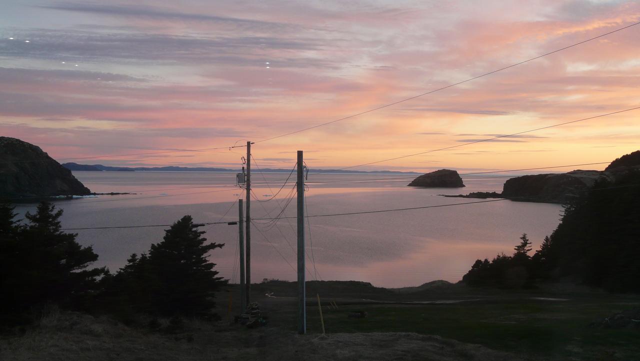Tranquility Hill B&B Twillingate Extérieur photo