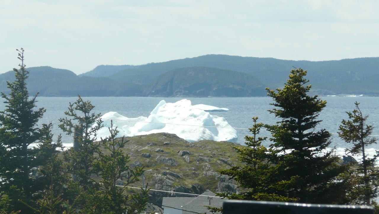 Tranquility Hill B&B Twillingate Extérieur photo