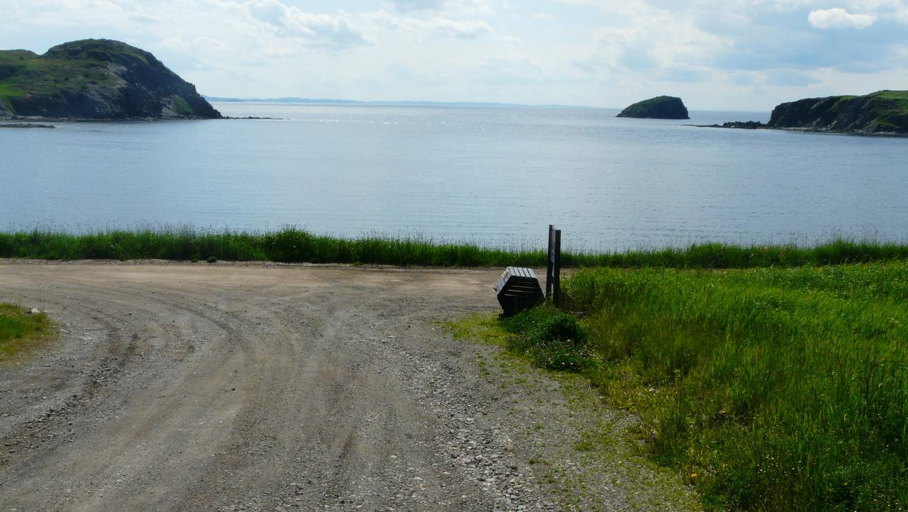 Tranquility Hill B&B Twillingate Extérieur photo