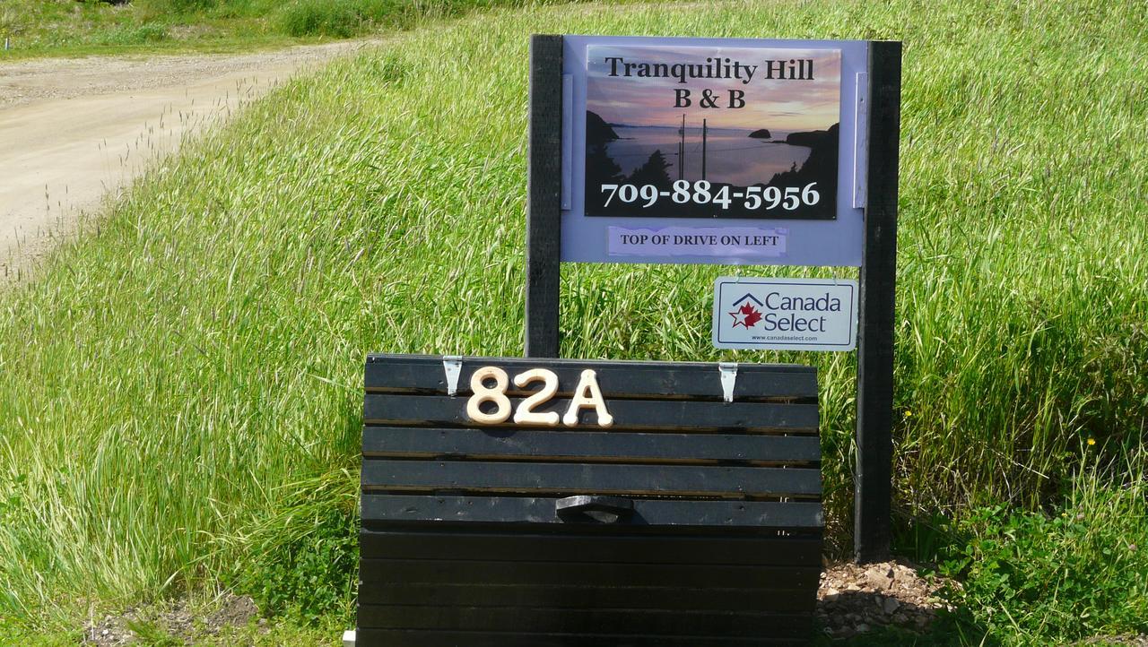 Tranquility Hill B&B Twillingate Extérieur photo