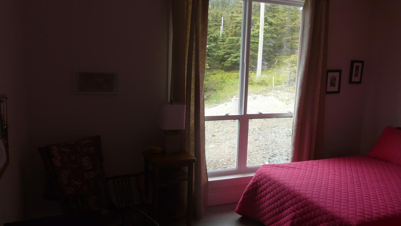 Tranquility Hill B&B Twillingate Extérieur photo